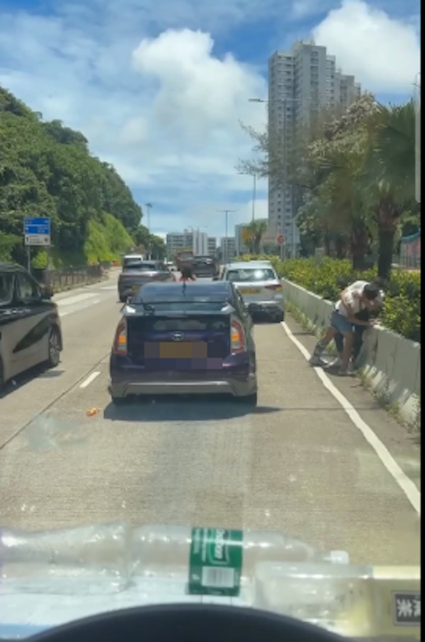 車cam直擊｜私家車相撞兩男落車互毆 左勾拳扭紋鎖難分難解 網民留言腦補親熱情節