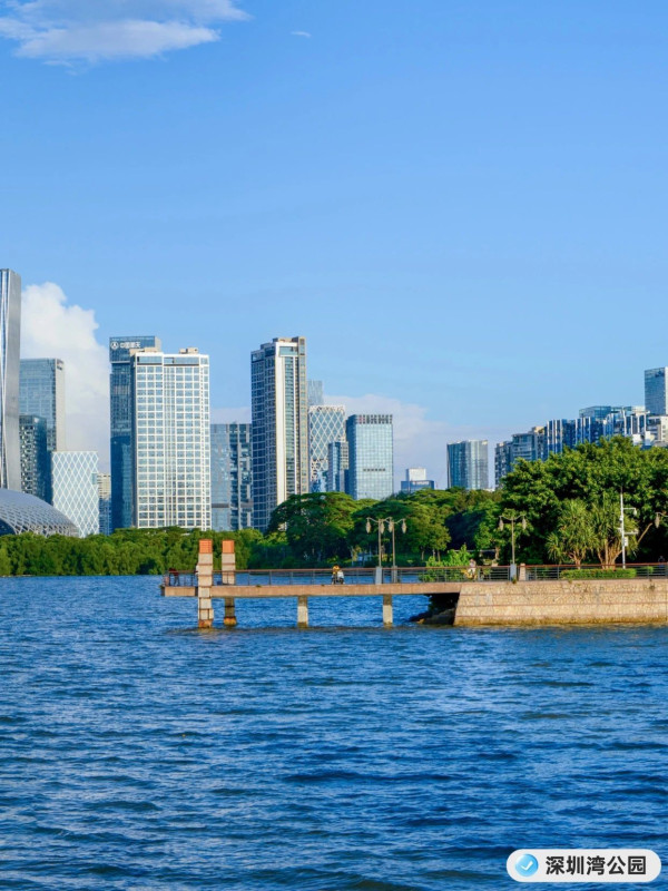 深圳灣公園(圖片來源:美麗深圳微信公眾號) 深圳灣公園(圖片來源:美麗深圳微信公眾號)