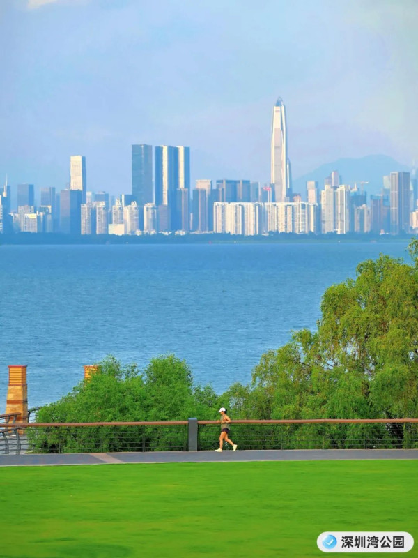深圳灣公園(圖片來源:美麗深圳微信公眾號) 深圳灣公園(圖片來源:美麗深圳微信公眾號)