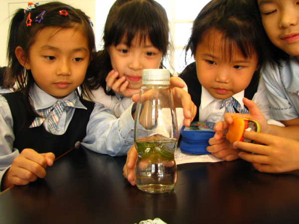 MOSTown新港城中心 x The World of Eric Carle 夏日童趣綻放之旅