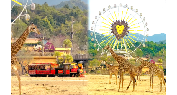 考完試即去長隆！廣州清遠4日3夜雙城消暑勁玩攻略  買2大送1小玩轉水上樂園與動物世界 