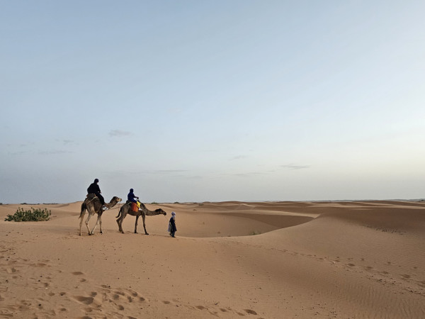港女高學歷難嫁?專家直言「讀書對搵對象無用」 唔降格「等渴死」