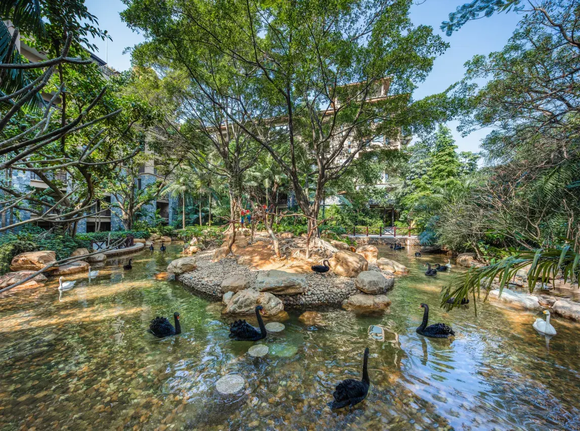 廣州親子酒店10間推介!熊貓主題房/長隆水上樂園家庭房/鄰近融創茂