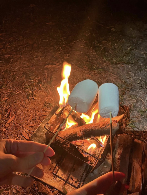 圖片來源：Facebook群組「日本預言：我所看見的未來🔥（地震+海嘯+天災+🌋火災+⚠️防災消息關注）🔥」