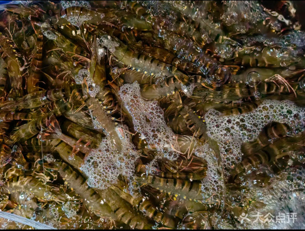 深圳觀瀾湖攻略（圖片來源：大眾點評）