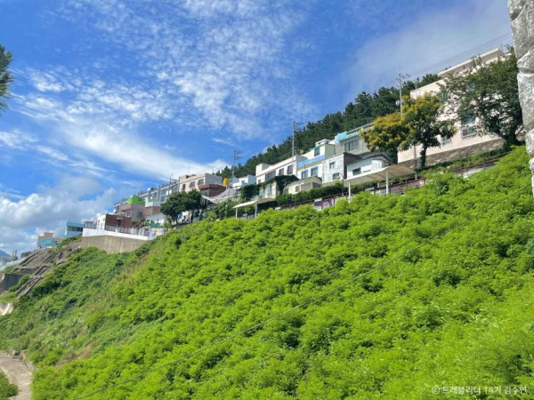 釜山自由行景點好去處推介（圖片來源：Visit Korea Official Website）