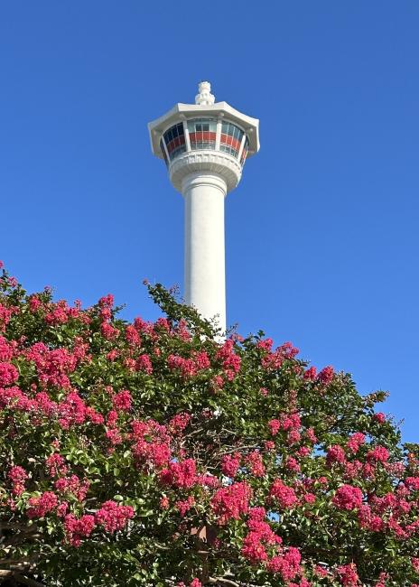 釜山自由行景點好去處推介（圖片來源：KKday）