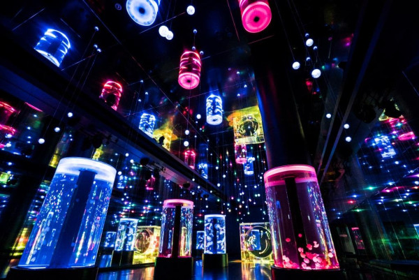 Maxell Aqua Park 品川水族館（圖片來源：Maxell AQUAPARK SHINAGAWA）