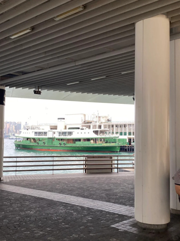 內地客列遊港15大中伏事項 建議別住酒店/自備水樽 稱兩地方多小偷？ 