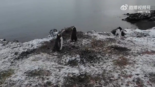 內地夫婦豪洗50萬帶兒子遊41國 被嘲英文無進步浪費錢 父反駁：放養教育也很好 