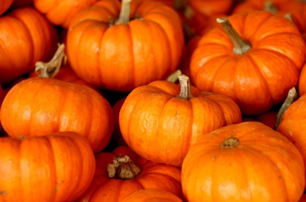 南瓜護眼助抗癌 營養師教1種食法助減血糖上升速度！附南瓜料理食譜