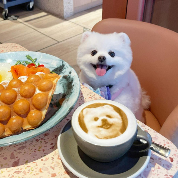 圍方餐廳10間人氣必食推介 日本百年烏冬＋海南雞始祖＋寵物友善Cafe