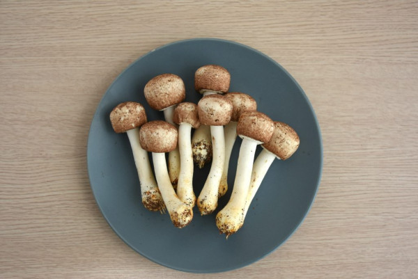 六旬男患大腸癌四期拒食蔬菜 醫生建議改食1物 持續兩年半病情未復發