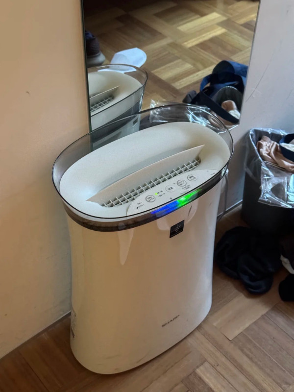 內地客遊日呻被櫻花妹腳臭到肺炎 稱住宿必須注意一事 否則空氣清新機亦難救