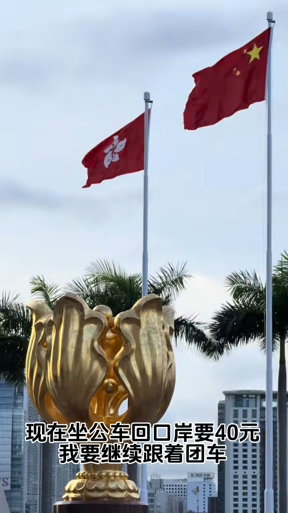 網傳內地9蚊香港1日遊惹爭議 玩遍5大景點/包八餸一湯午餐 網民：想報名 