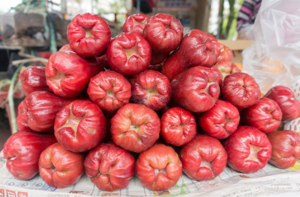 蓮霧營養｜助抗癌保護心血管降血糖附每日建議食法！4技巧教選靚蓮霧