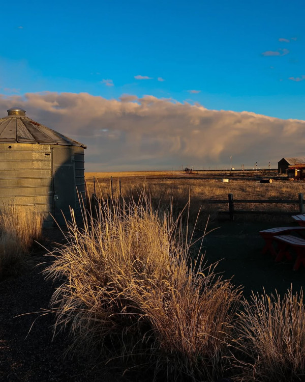 入住6噸重巨型薯仔屋 美國超人氣Airbnb 