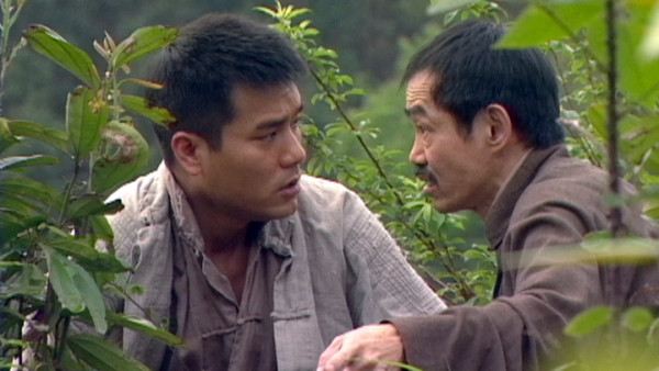 茶是故鄉濃重播劇情線上看｜1-32集大結局TVB全劇透！林家棟張可頤蘇玉華麥長青