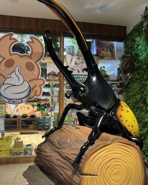 台北親子餐廳(圖源:甲蟲秘境親子餐廳FB) 台北親子餐廳(圖源:甲蟲秘境親子餐廳FB)