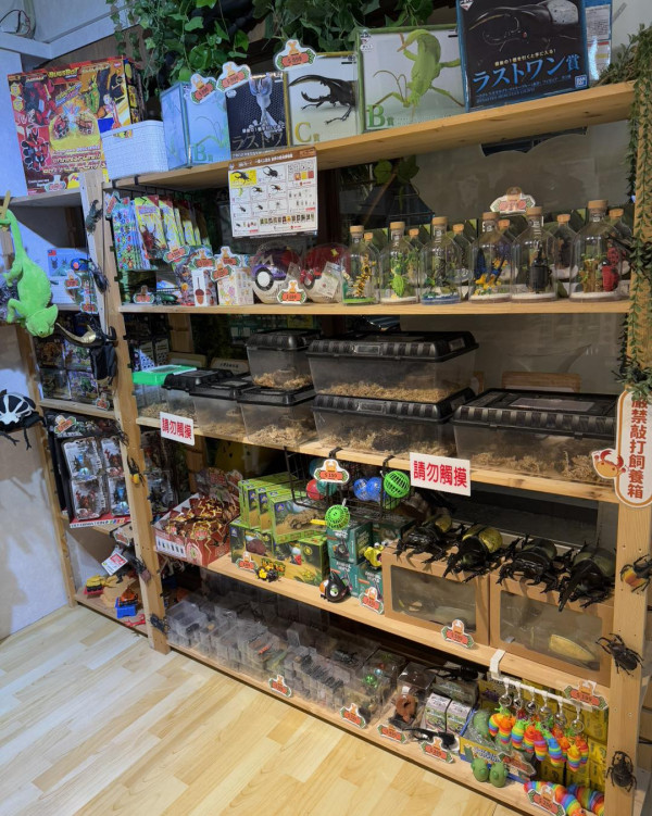 台北親子餐廳(圖源:甲蟲秘境親子餐廳FB) 台北親子餐廳(圖源:甲蟲秘境親子餐廳FB)