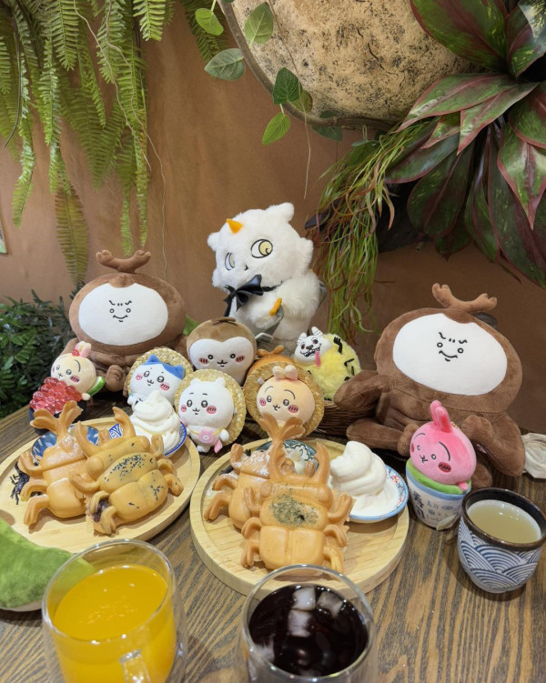 台北親子餐廳(圖源:甲蟲秘境親子餐廳FB) 台北親子餐廳(圖源:甲蟲秘境親子餐廳FB)