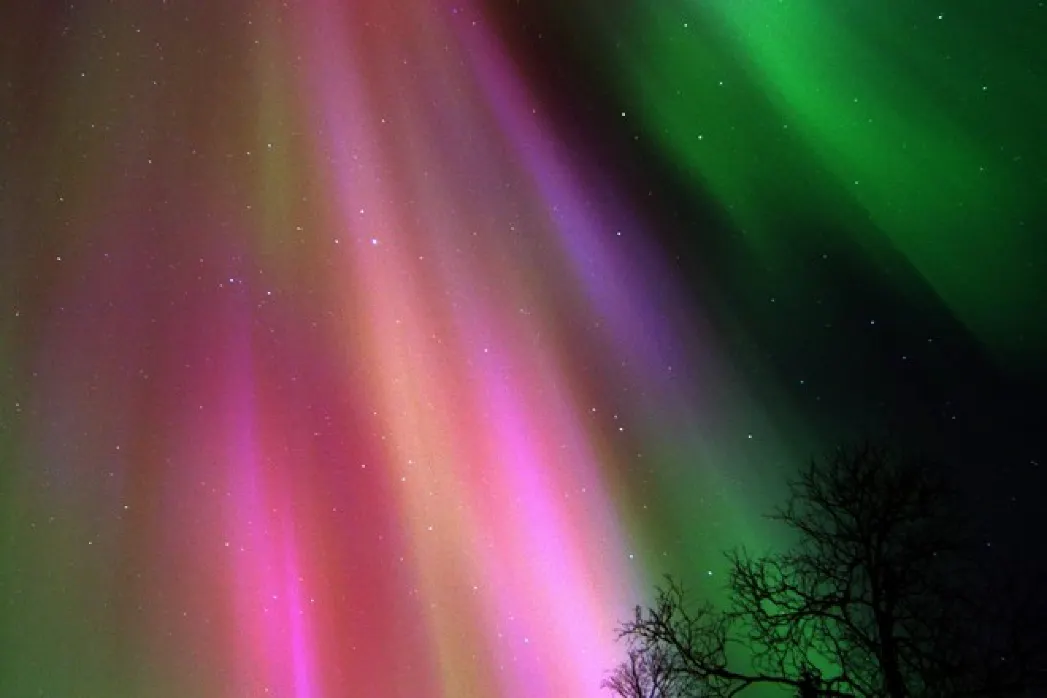 來源:永安旅行社 旅行社推128萬元極奢華旅行團?環遊世界14個地方網民:每日平均花2萬