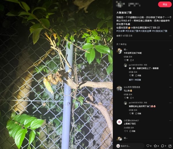 日本公園貼告示禁止捕捉一生物 居日內地人小紅書分享公園採集食用