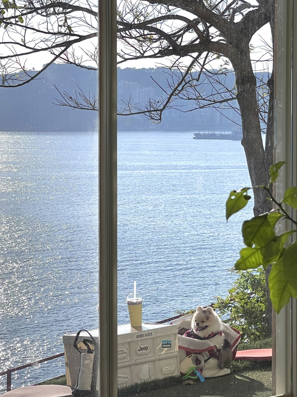 【韓國釜山】白淺灘文化村一日遊 絕美海岸咖啡廳／海景足浴、附交通攻略 