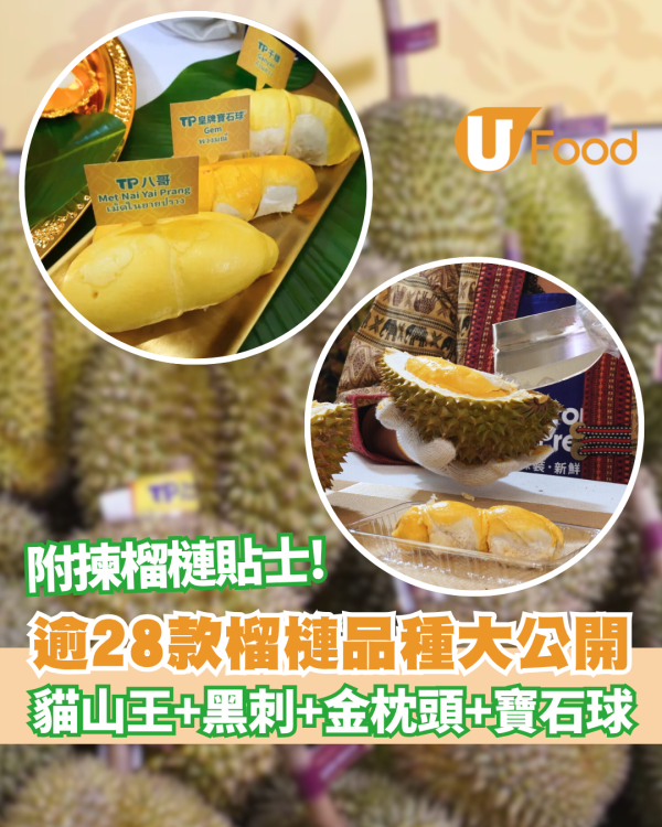 【榴槤品種】逾28款榴槤品種大公開 教你秒速揀出極品榴槤