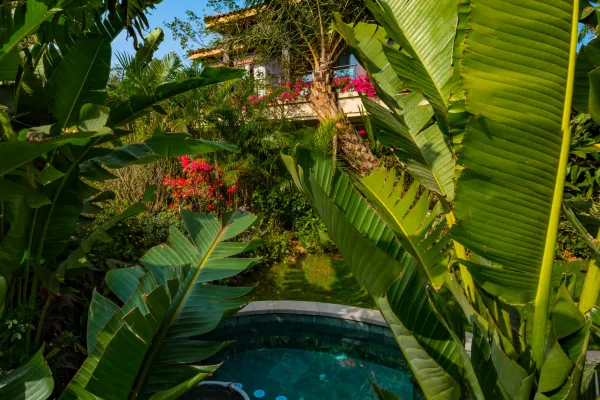 惠州溫泉酒店(圖片來源:Trip.com) 惠州溫泉酒店(圖片來源:Trip.com)