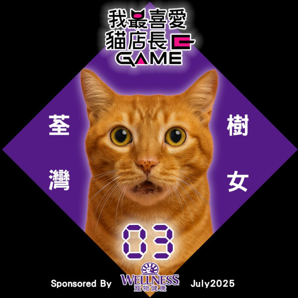 我最喜愛貓店長2025投票開始！38位貓店長入圍選出人氣10強