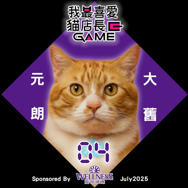 我最喜愛貓店長2025投票開始！38位貓店長入圍選出人氣10強