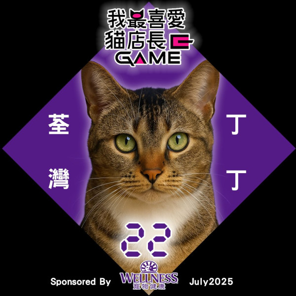 我最喜愛貓店長2025投票開始！38位貓店長入圍選出人氣10強
