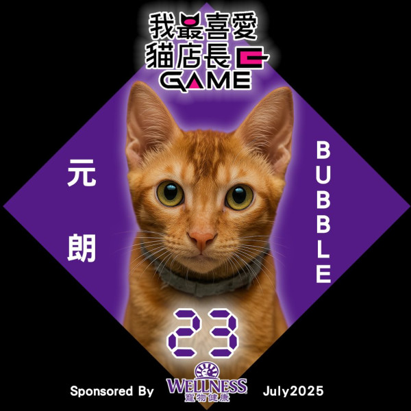 我最喜愛貓店長2025投票開始！38位貓店長入圍選出人氣10強
