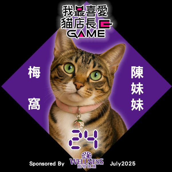 我最喜愛貓店長2025投票開始！38位貓店長入圍選出人氣10強