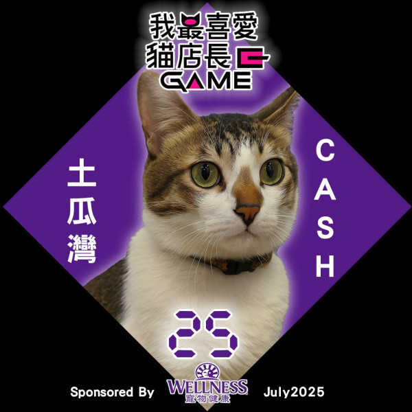 我最喜愛貓店長2025投票開始！38位貓店長入圍選出人氣10強