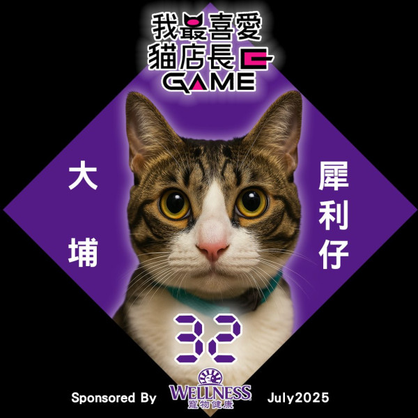 我最喜愛貓店長2025投票開始！38位貓店長入圍選出人氣10強