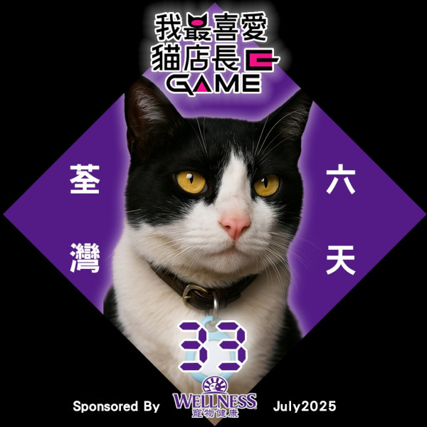 我最喜愛貓店長2025投票開始！38位貓店長入圍選出人氣10強