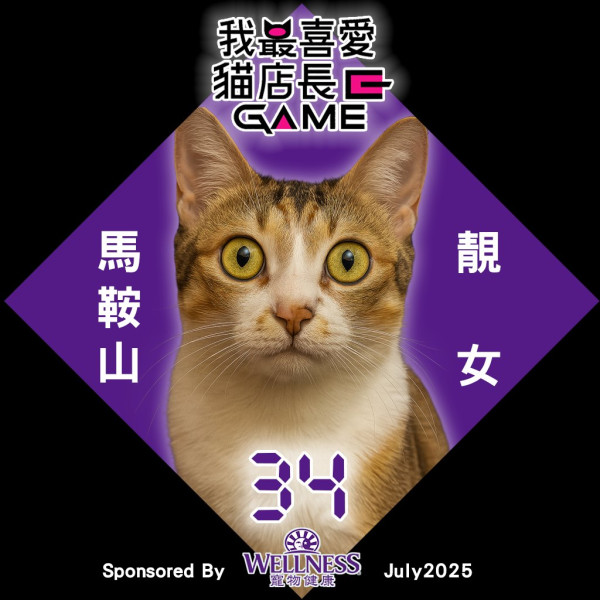 我最喜愛貓店長2025投票開始！38位貓店長入圍選出人氣10強