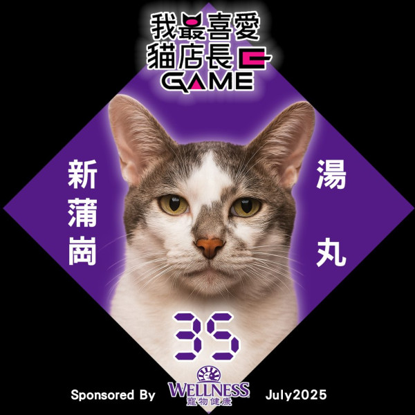 我最喜愛貓店長2025投票開始！38位貓店長入圍選出人氣10強