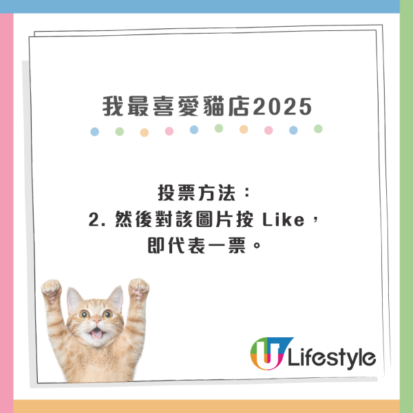 我最喜愛貓店長2025投票開始！38位貓店長入圍選出人氣10強