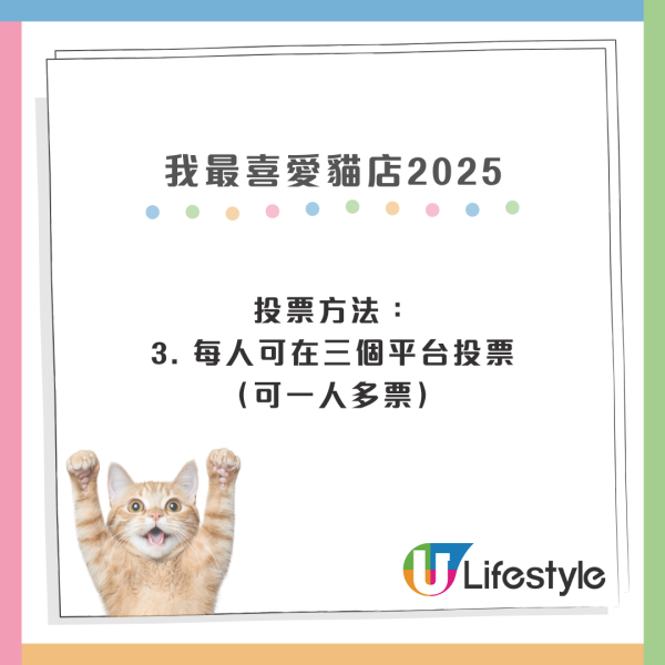 我最喜愛貓店長2025投票開始！38位貓店長入圍選出人氣10強
