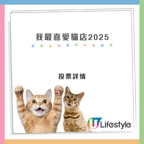 我最喜愛貓店長2025投票開始！38位貓店長入圍選出人氣10強