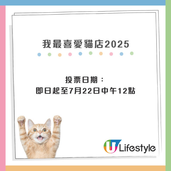 我最喜愛貓店長2025投票開始！38位貓店長入圍選出人氣10強