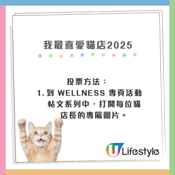 我最喜愛貓店長2025投票開始！38位貓店長入圍選出人氣10強
