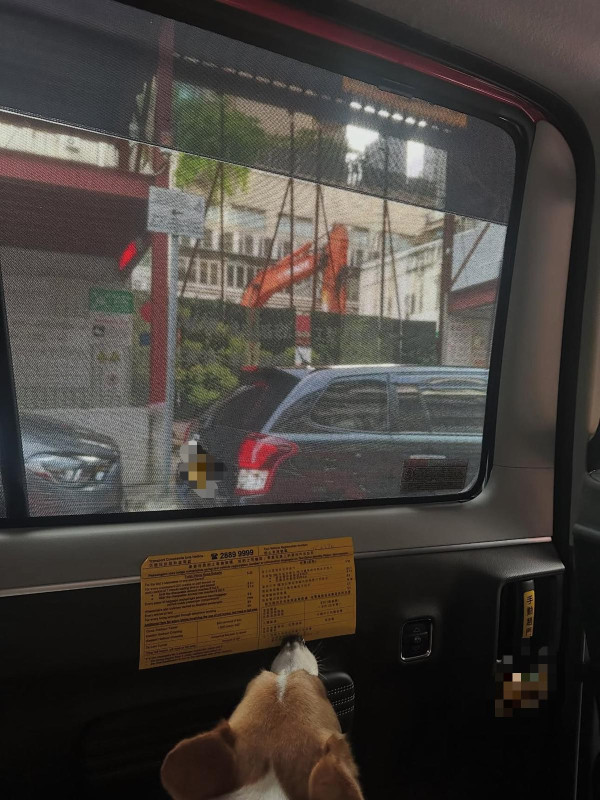 Uber乘客抱1物上車遭拒載！控訴司機「明搶」要求自付取消費