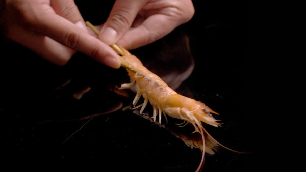 台北火鍋推薦(圖片來源:橘色涮涮屋) 台北火鍋推薦(圖片來源:橘色涮涮屋)