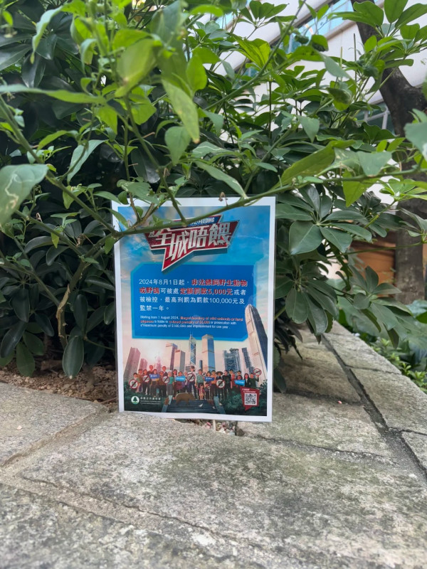 內地客遊港大讚文明程度高 從交通工具看出兩大優點：如油炸雪糕 