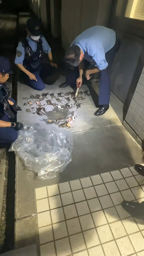 居日內地人非法捉一物被警察斷正！發文警世：以為是很正常的事情 