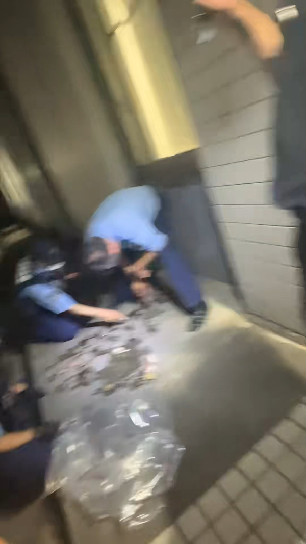 居日內地人非法捉一物被警察斷正！發文警世：以為是很正常的事情 